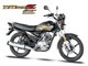 Yamaha YB125Z-DX View