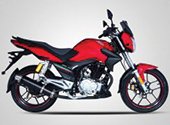 WEGO 150CC 2023 Price