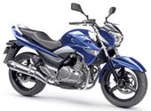 Suzuki Inazuma 2015 Price